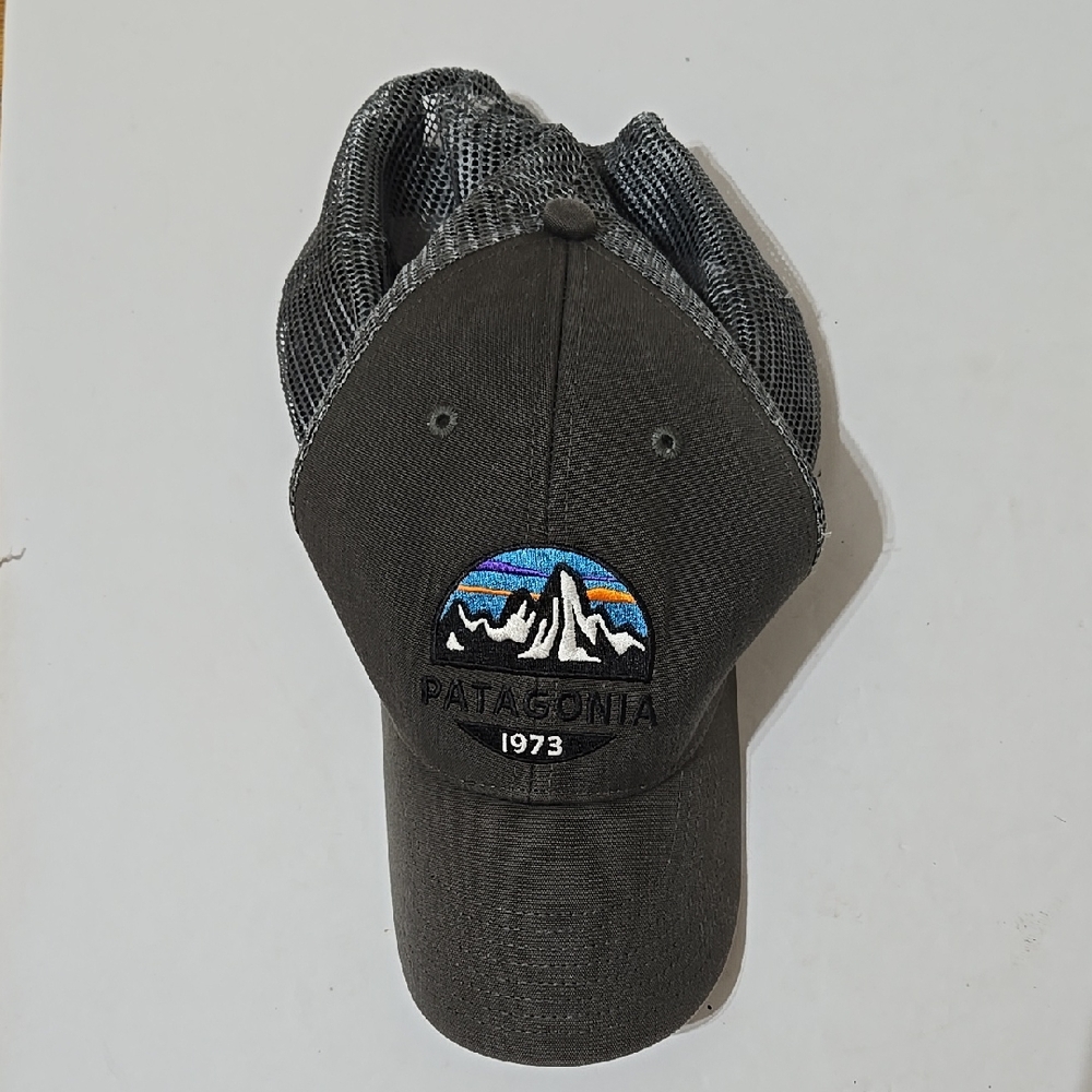Patagonia Fitz Roy Trucker Mesh Back Cap
